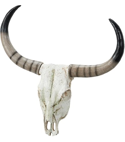 Amazon.co.jp: ネイティブ アメリカン バッファロー スカルヘッド/牛