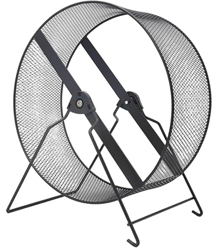 Amazon.co.jp: REENEW ハムスター回し車 サイレントホイール 回し車