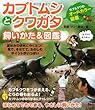カブトムシとクワガタ飼いかた&図鑑―カブ&クワのオールカラー図鑑