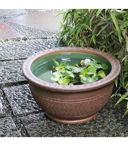 Amazon | カクダイ ステンレス水鉢 深型 624-962 | 鉢
