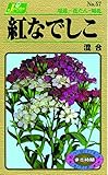 カネコ種苗 草花タネ057 紅なでしこ 混合 10袋セット