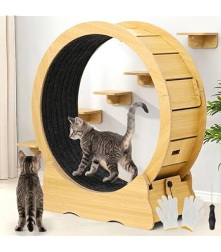 Amazon.co.jp: キャットホイール 猫 猫用回し車 猫の車輪 猫用ト
