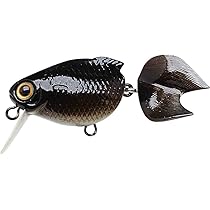 Amazon.co.jp: ラッキークラフト(LUCKY CRAFT)金魚・姉金60F