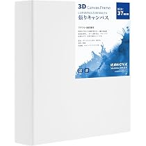 Amazon.co.jp: HANSILK 3Dキャンバス S0 180x180mm 厚み37mm 側面にも