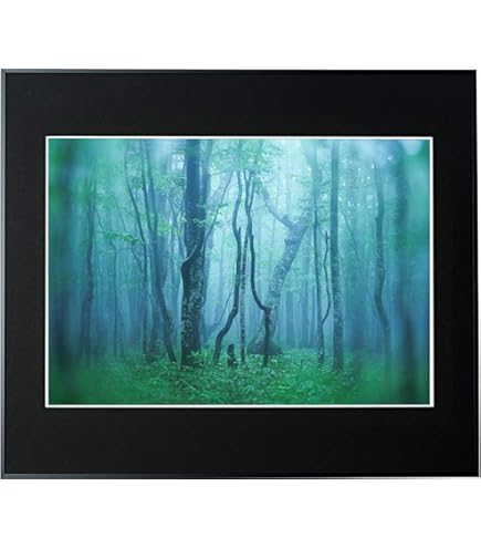 Amazon | Kenko 額縁 ギャラリー A2 アクリルタイプ アルミフレーム