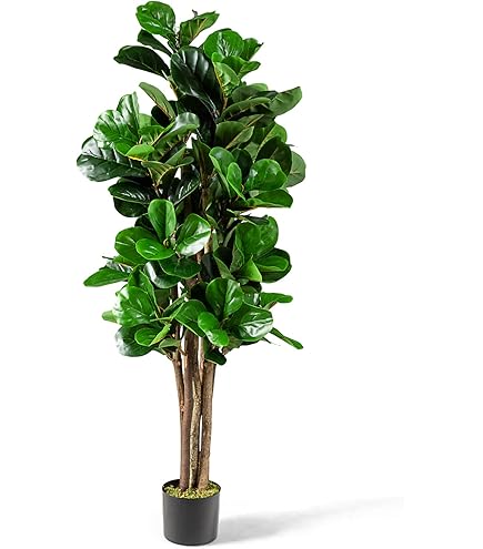 人工観葉植物　 フェイクグリーン 幸福の木 約180cm フェイクグリーン 人工観葉植物 幸福ノ木 フェイクツリー 大型 造樹