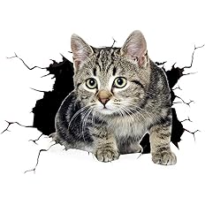 Amazon 3d猫のウォールステッカー 面白くてかわいい動物のデカール 家の装飾アートステッカー 3d猫と犬のデカール ステッカー デカール 車 バイク