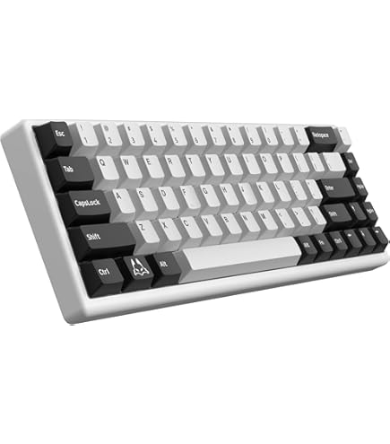 Polar 65 HE ラピトリ搭載キーボード+コイルケーブル+キーキャップ Arbiter Studio (アービタースタジオ) Polar 65 磁気キーボード