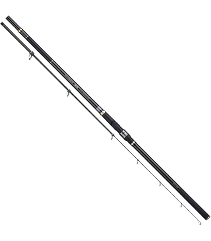 Amazon | 宇崎日新 ロッド ゼロサム 磯 競技 X4 5005 | 宇崎日新 | 磯竿 