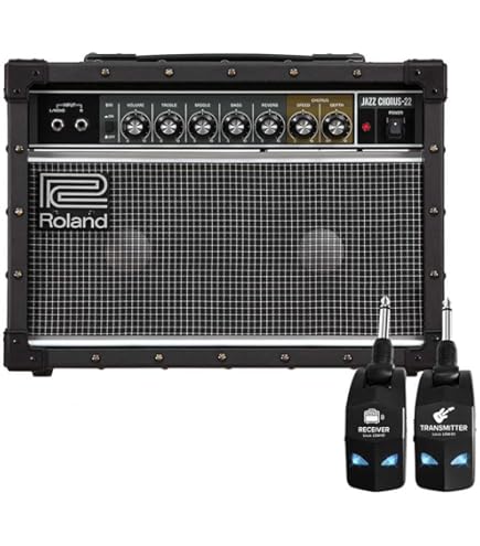 Amazon.co.jp: Roland JC-22 Jazz Chorus Guitar Amplifier with