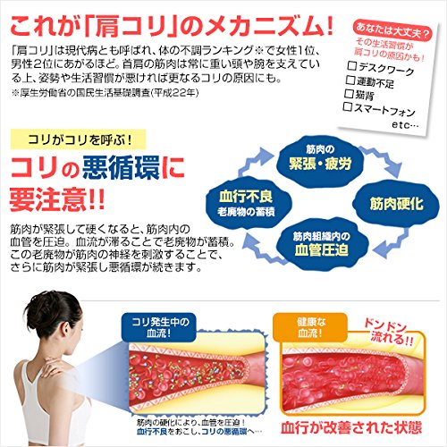 ファイテン X100とrakuwa磁気ネックレスを買ってみた 基本net生活