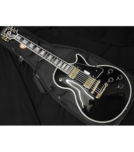 Amazon | フジゲン FUJIGEN FGN NLS110RMP AG Neo Classic LPタイプ P