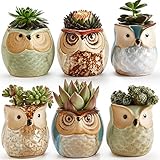 SUN-E 6セット6.4センチフクロウセラミックフローグレーズベースシリーズセット多肉植物鉢植えサボテン植物ポット植木鉢ポット鉢植え鉢植えホール完璧な贈り物アイデア