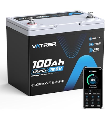 Amazon | 【国内業者1年長期保証】12V 200Ah リン酸鉄リチウムイオン 