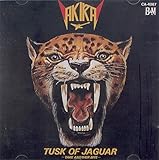 �W���K�[�̉�