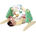 6WAYジムにへんしんメリー