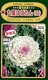 【種子】丸葉はぼたん（白） 雪うさぎ トーホクのタネ