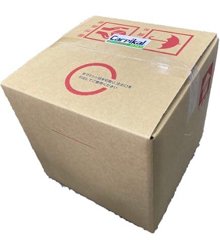 Amazon.co.jp: 業務用 鉄粉除去剤 10L 大容量 洗車 下地処理 プロ仕様