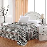 (Twin) - Aztec Plush Micro Fleece Blanket - Tribal Arrows (Twin)