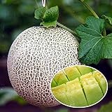 30 Cantaloupe Melon seeds , Honey Dew Green Flesh Great Vegetable Seeds~delicious, sweet