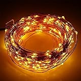 ER CHEN(TM) 66ft Led String Lights,200 Led Starry Lights on 20m Copper Wire String Lights + 12V DC P