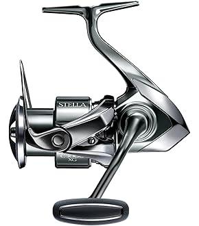 Fishman ブランシエラ4.8UL Limited トラウトロッド 41VUWl4a4aL._AC_UL210_SR210,