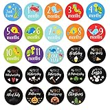 24 Countベビーマイルストーンステッカーfor Boys – Babyベビースクラップブック、記念品の毎月のステッカーJournal and Baby画像