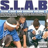 S.L.A.B. 3