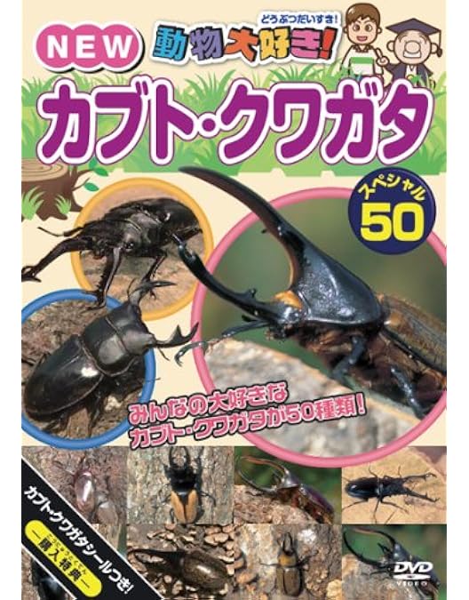 Amazon.co.jp: 激闘 カブト×クワガタ ~あつまれ!たたかう甲虫たち