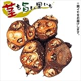 国華園　里いも種芋　八ツ頭　親芋　1kg【※発送が国華園からの場合のみ正規品です】
