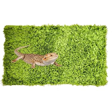 Amazon.co.jp 売れ筋ランキング: 爬虫類・両生類用底砂・床材 の中で