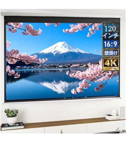 Amazon.co.jp: キクチ科学研究所 KPV-100HDW 100インチ(16:9) : 家電