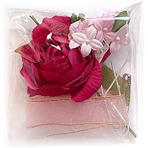 61ADIZRn7GL._AC_UL210_SR210,