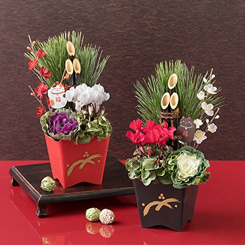 寄せ植え 招福ミニ門松 Saam の価格比較 Heim ハイム