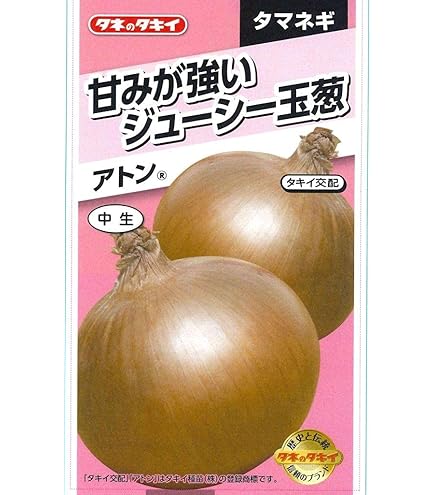 Amazon.co.jp: カネコ種苗 超極早生タマネギ 浜笑 種子 20ml : DIY