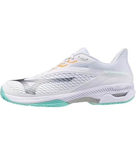 Amazon.co.jp: MIZUNO F SPEED V-01 Rusty Red 0U : 0: Sports & Outdoors