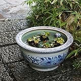 信楽焼 16号テッセン絵すいれん鉢 睡蓮鉢 スイレン鉢 金魚鉢 水鉢 陶器 su-0115