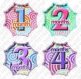 SWIRLS Baby Month Onesie Stickers Baby Shower Gift Photo Shower Stickers, baby shower gift by Onesie