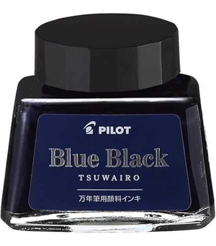 Amazon.co.jp: パイロット 万年筆コンバーター CON-20 : Office Products