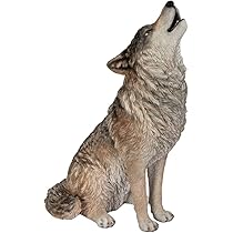 61AIX2oMgXL._AC_UL210_SR210,