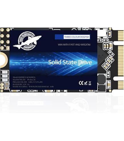 Amazon | Dogfish M.2 SATA SSD 2242 4TB NGFF 3D NAND TLC Internal