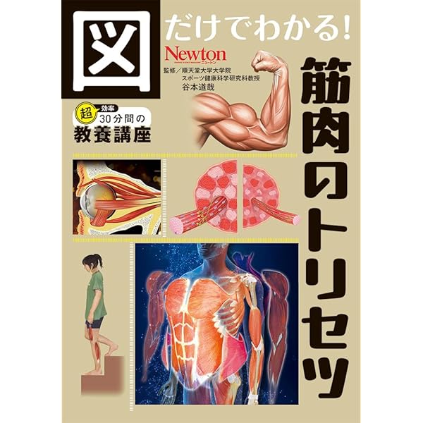 実物大 筋肉図鑑 | 坂井建雄, 野口賢司, こどもくらぶ |本 | 通販 | Amazon