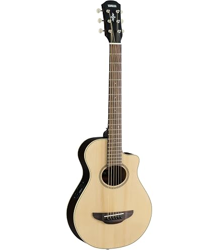 Amazon | アコースティックギター カッタウェイギター 初心者セット