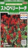 サカタのタネ 実咲花6480 ストロベリー トーチ クリムゾンクローバー 00906480