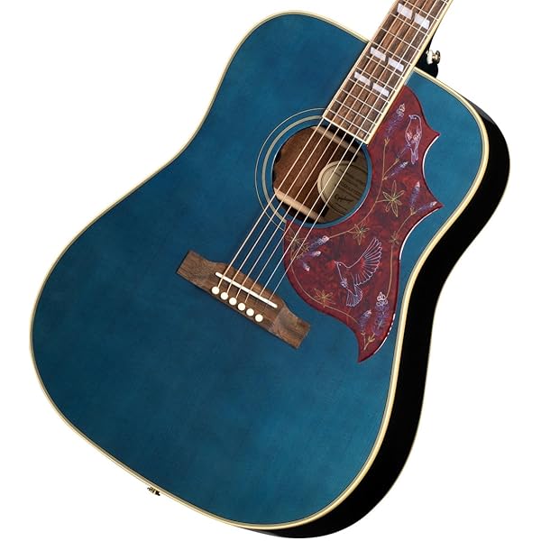 Amazon.co.jp: エピフォン Epiphone Hummingbird Aged Natural Antique