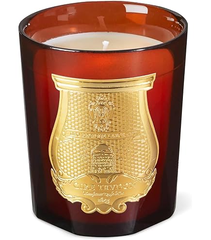 Amazon.co.jp: Cire Trudon Saltaキャンドル (9.5オンス) : ホーム