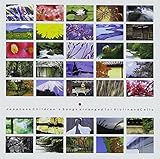 �W���p�j�[�Y �`���h�����Y�E�\���O�A���@�C�I����&�`�F��