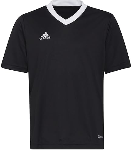 Amazon.co.jp: FLCL × GEEKS RULE T SHIRT フリクリ Tシャツ ハル子