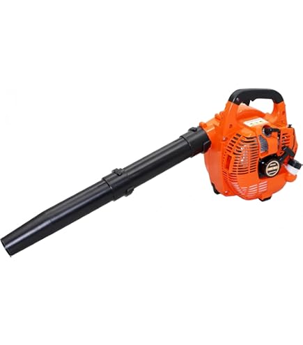 Amazon.co.jp: 丸山製作所 ブロアー RBL300S-1 : DIY・工具・ガーデン