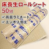 ロール養生紙　エンボス両面ラミネート　2本入